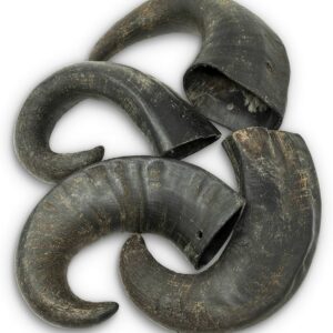 Nature Snack – Cuerno de Búfalo Small (2 uds)